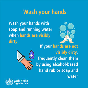 Wash Hands