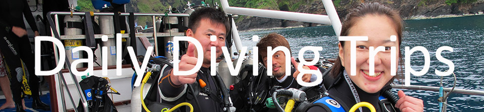 Daily Scuba Diving Excursions around Phuket
